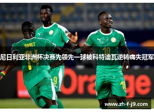 尼日利亚非洲杯决赛先领先一球被科特迪瓦逆转痛失冠军