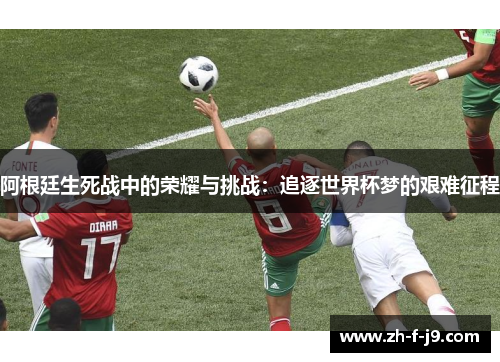 阿根廷生死战中的荣耀与挑战：追逐世界杯梦的艰难征程